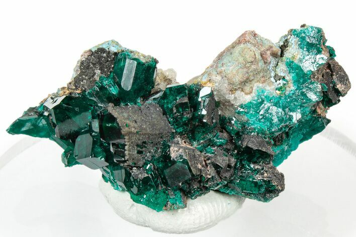 Gemmy Dioptase Crystal Cluster - Sanda, Congo #303845